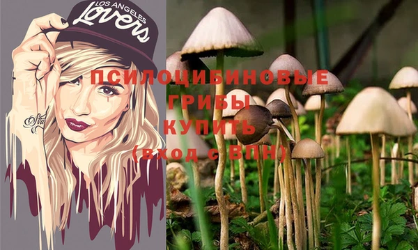 стаф Липки
