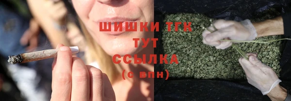 стаф Липки