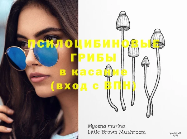 мяу мяу кристалл Лихославль